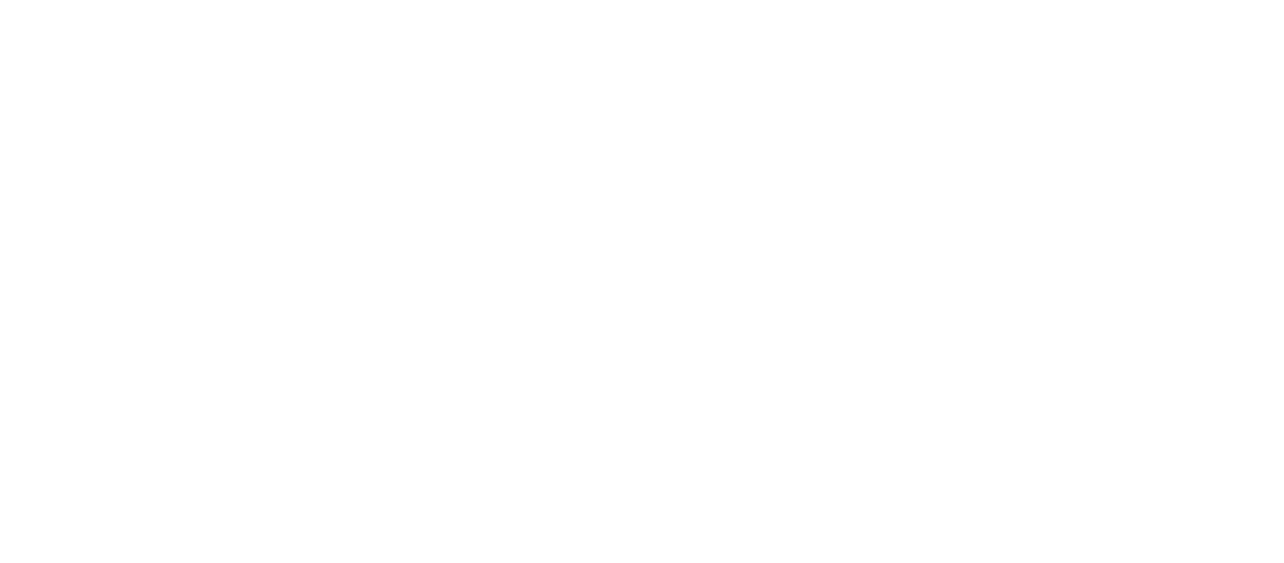 PlaceShapers logo